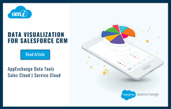 Salesforce Data Visualization Guide - OMI | OMI
